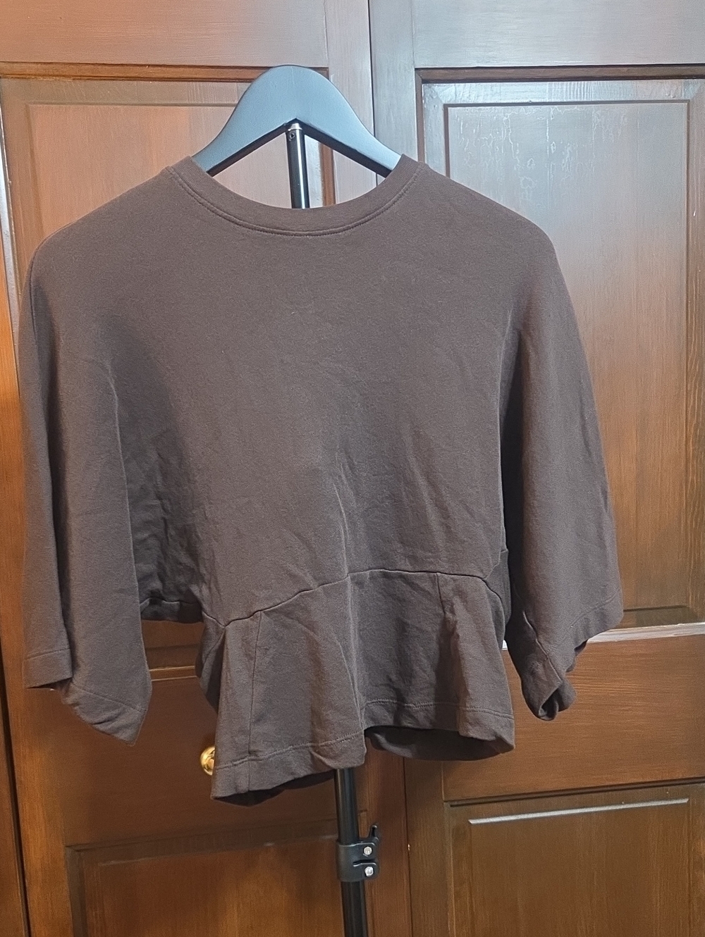 Zara Brown Top